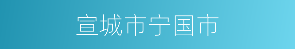 宣城市宁国市的同义词