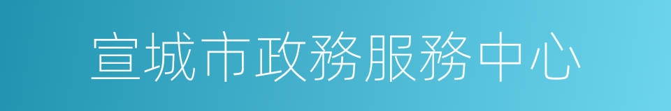 宣城市政務服務中心的同義詞