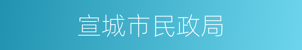 宣城市民政局的同义词