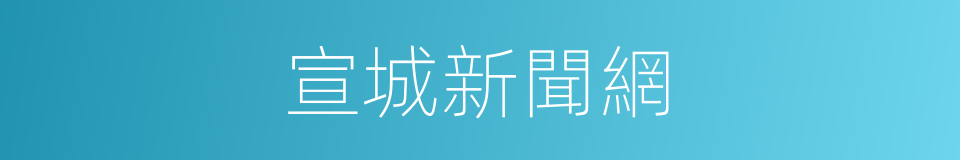 宣城新聞網的同義詞