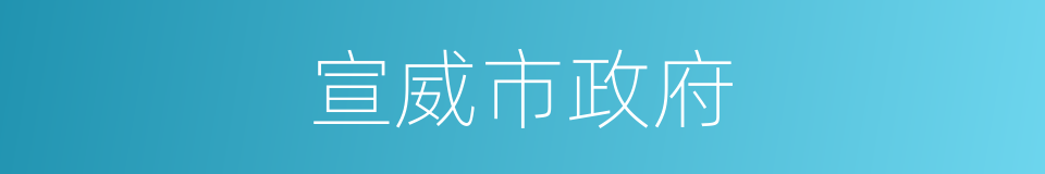 宣威市政府的同义词