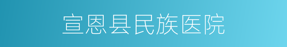 宣恩县民族医院的同义词