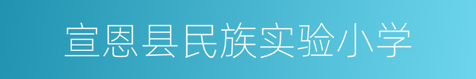 宣恩县民族实验小学的同义词