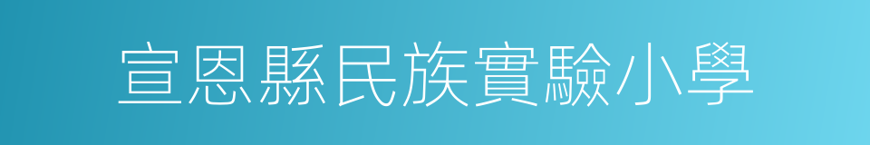 宣恩縣民族實驗小學的同義詞