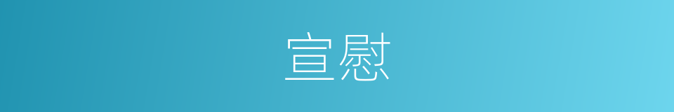 宣慰的意思