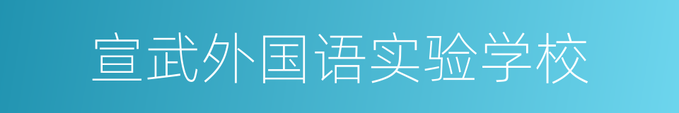 宣武外国语实验学校的同义词