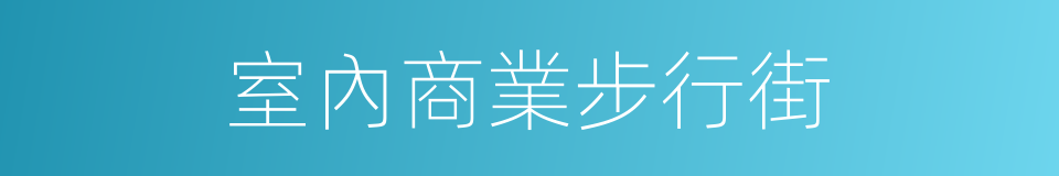 室內商業步行街的同義詞