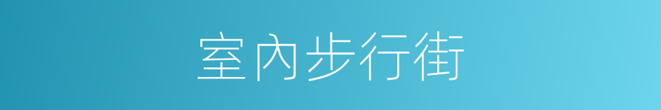 室內步行街的同義詞