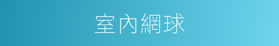 室內網球的同義詞