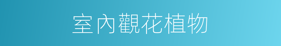 室內觀花植物的同義詞