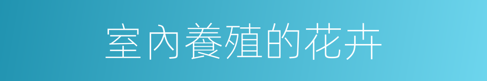 室內養殖的花卉的同義詞