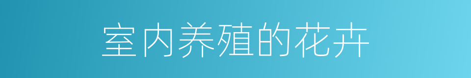 室内养殖的花卉的同义词