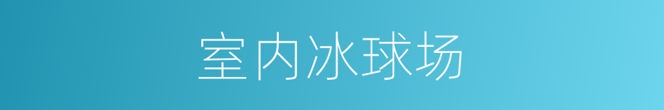 室内冰球场的同义词