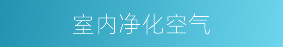 室内净化空气的同义词