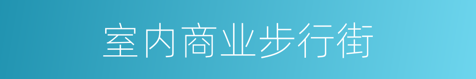 室内商业步行街的同义词