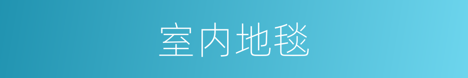 室内地毯的同义词