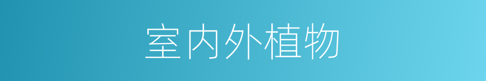 室内外植物的同义词