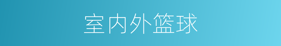 室内外篮球的同义词