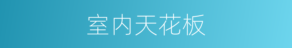 室内天花板的同义词