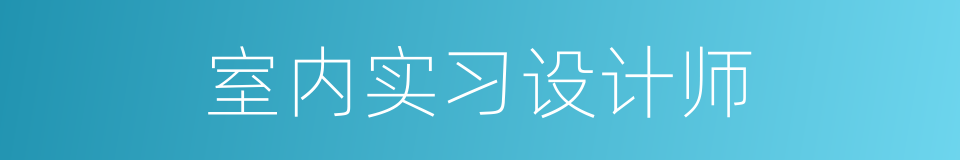 室内实习设计师的同义词