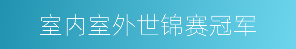 室内室外世锦赛冠军的同义词