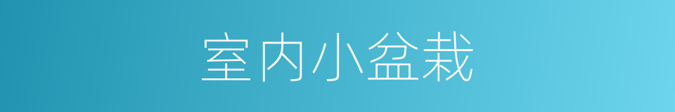 室内小盆栽的同义词