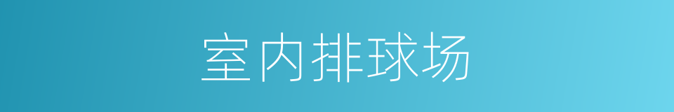 室内排球场的同义词