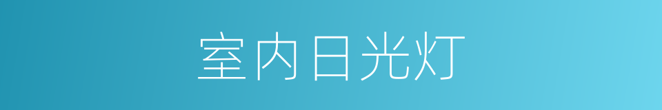 室内日光灯的同义词