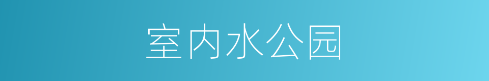 室内水公园的同义词