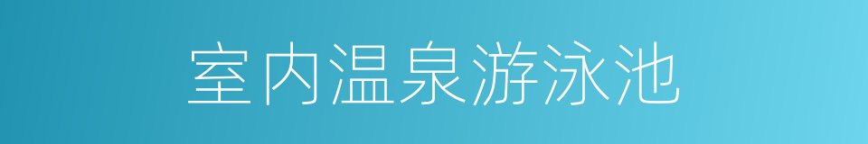 室内温泉游泳池的同义词