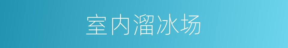 室内溜冰场的同义词