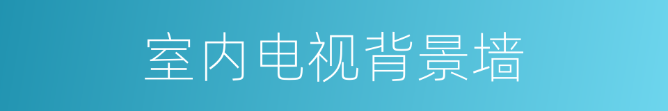 室内电视背景墙的同义词