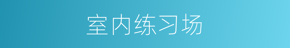 室内练习场的同义词