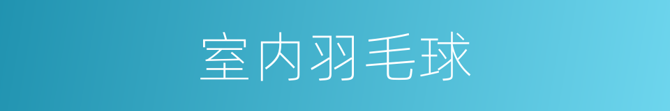 室内羽毛球的同义词