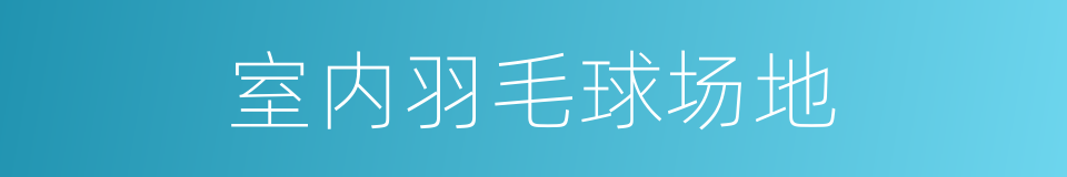 室内羽毛球场地的同义词