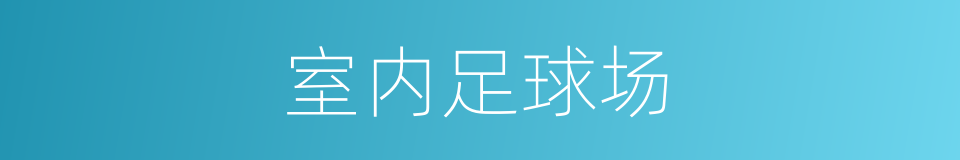 室内足球场的同义词