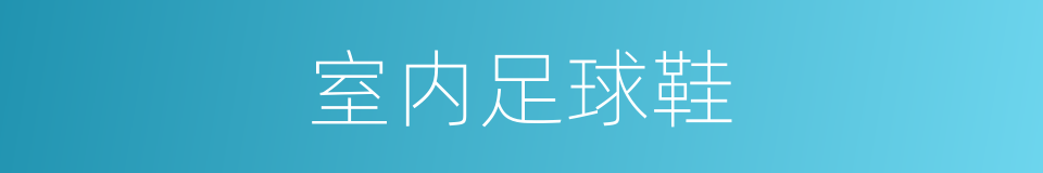 室内足球鞋的同义词