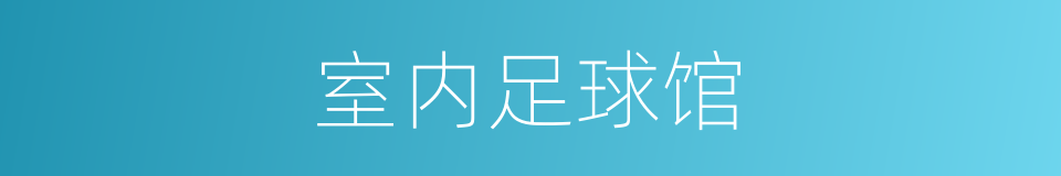 室内足球馆的同义词