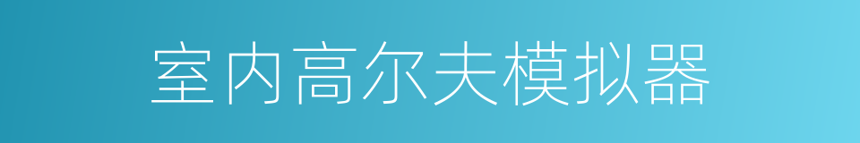 室内高尔夫模拟器的同义词