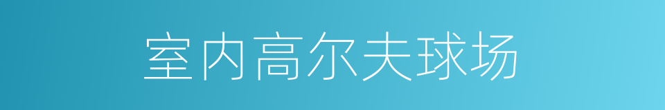 室内高尔夫球场的同义词