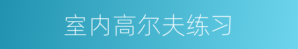 室内高尔夫练习的同义词