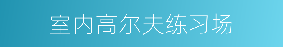 室内高尔夫练习场的同义词