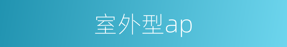 室外型ap的同义词