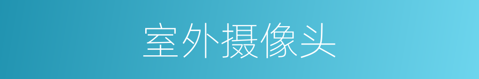 室外摄像头的同义词