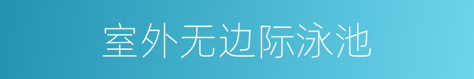 室外无边际泳池的同义词