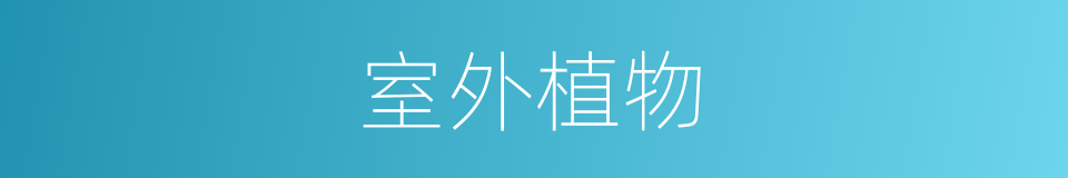 室外植物的同义词