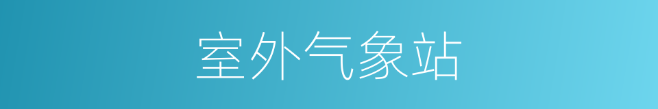 室外气象站的同义词