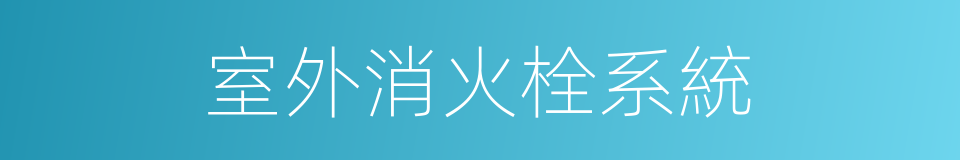 室外消火栓系統的同義詞