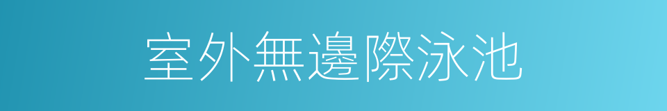 室外無邊際泳池的同義詞