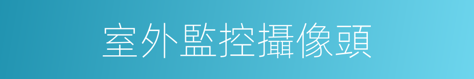 室外監控攝像頭的同義詞